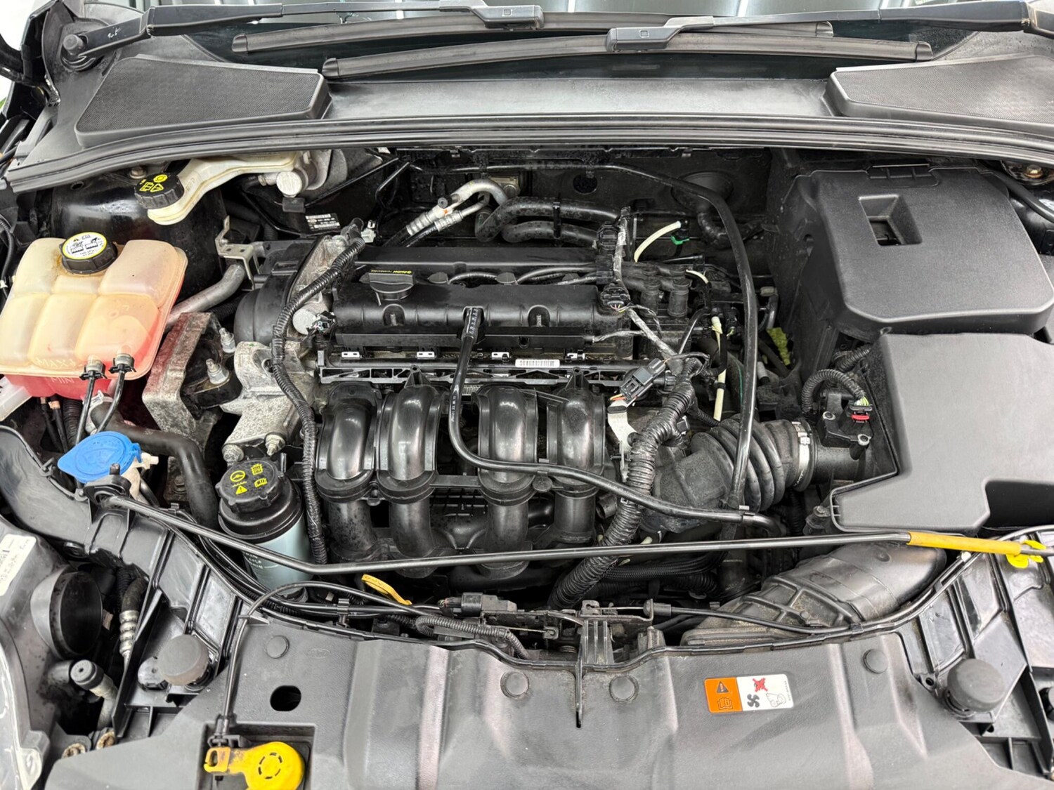 Used Ford Focus for sale - 77496547: Photo 13