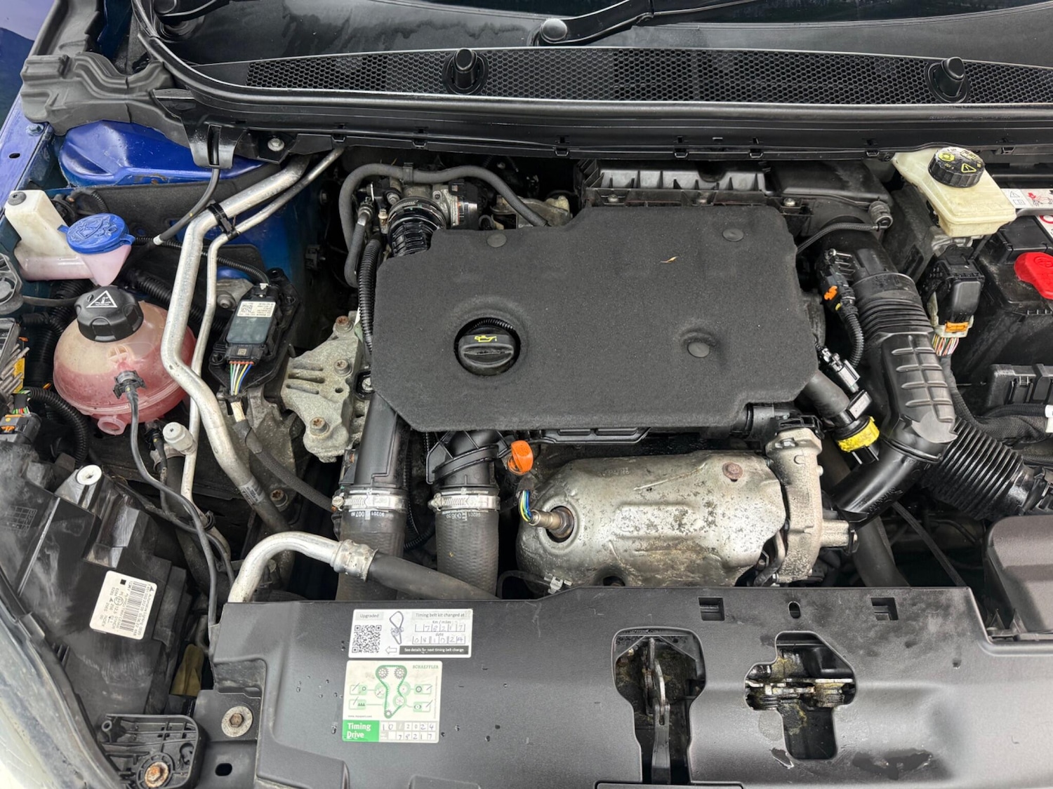 Used Peugeot 308 2020 for sale - 78100392: Photo 13