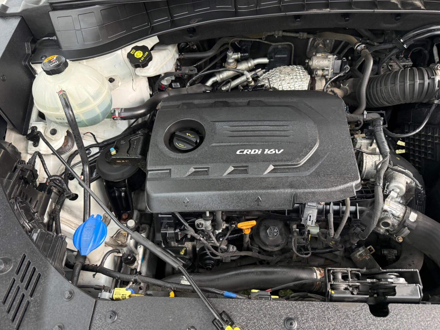 Used Hyundai TUCSON for sale - 78214315: Photo 13