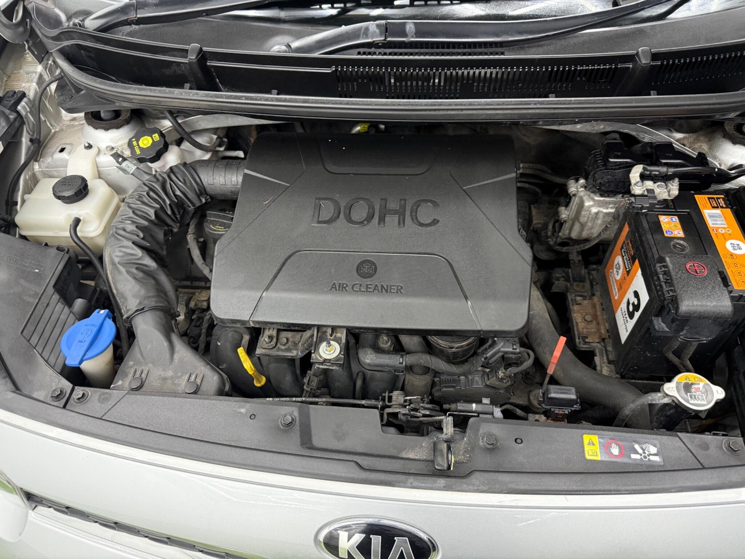 Used Kia Picanto for sale - 77783610: Photo 13