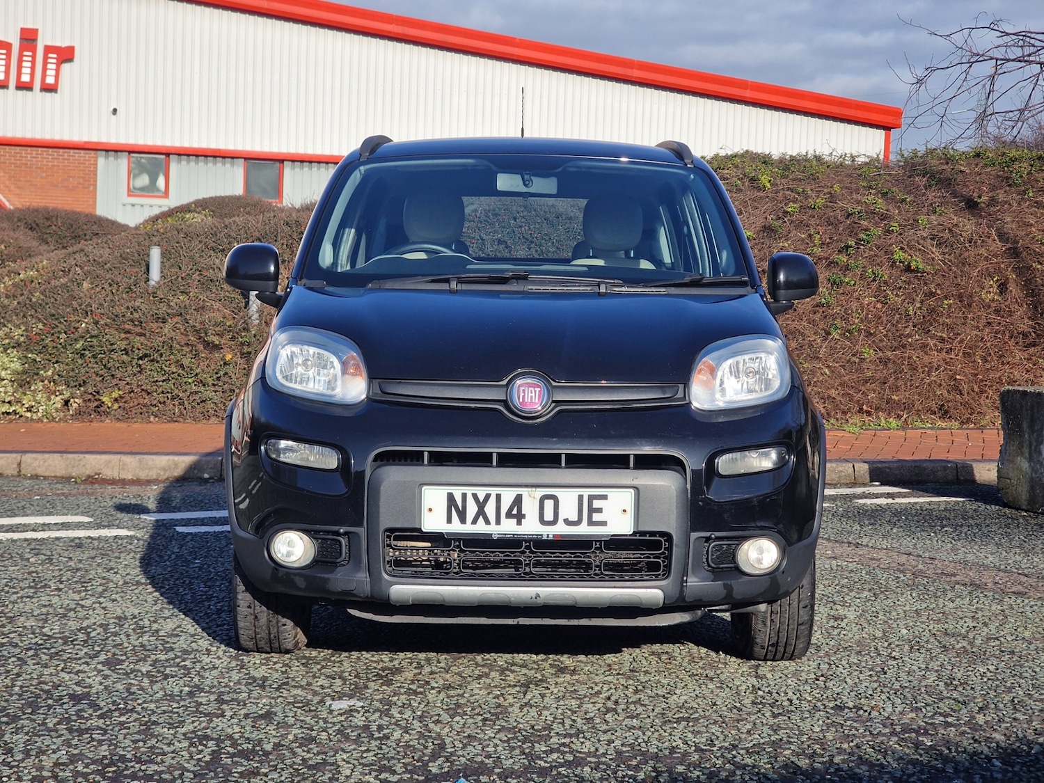 Used Fiat Panda 2014 for sale - 77938475: Photo 3