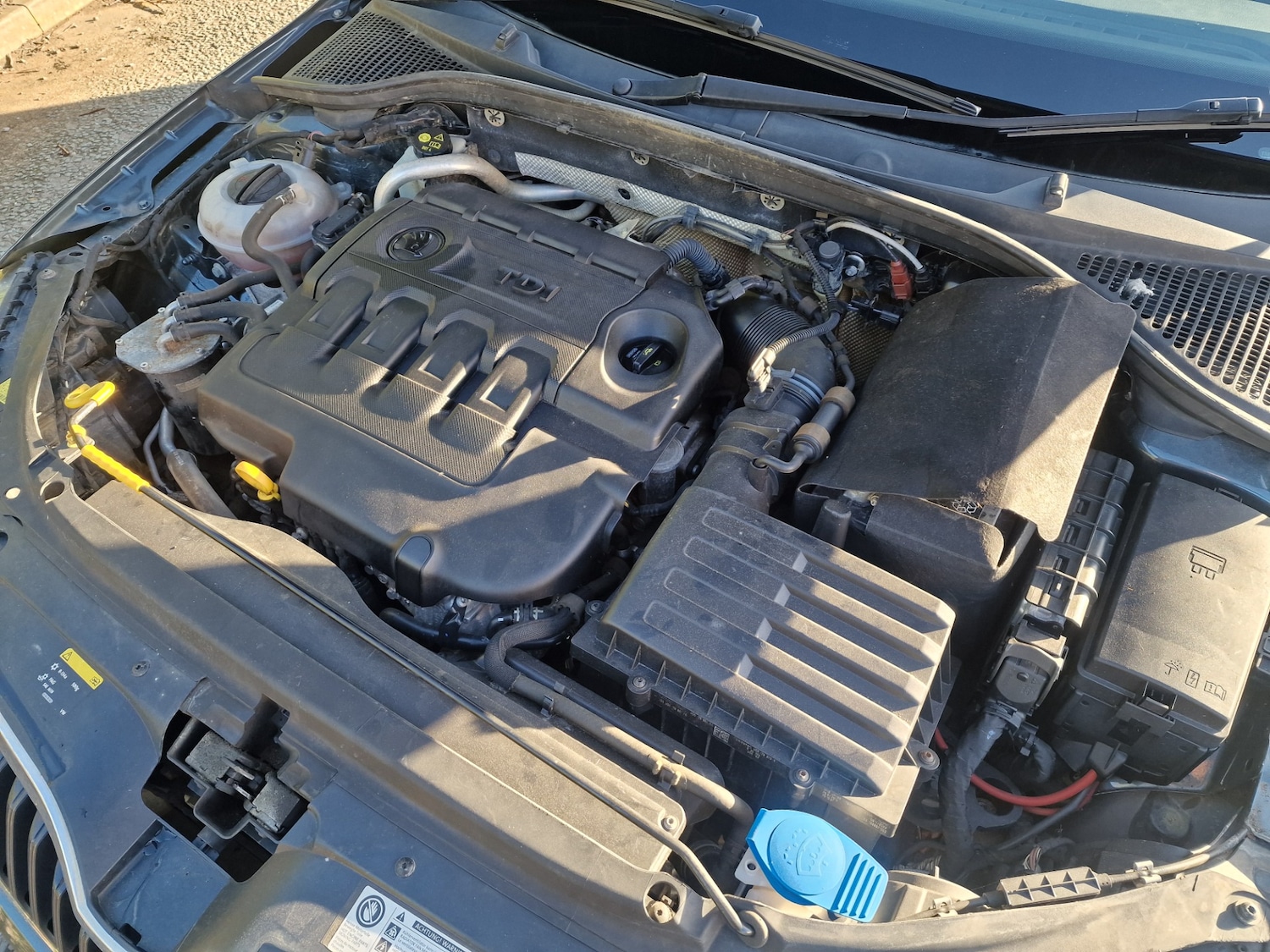 Used Skoda Octavia 2015 for sale - 77938539: Photo 49