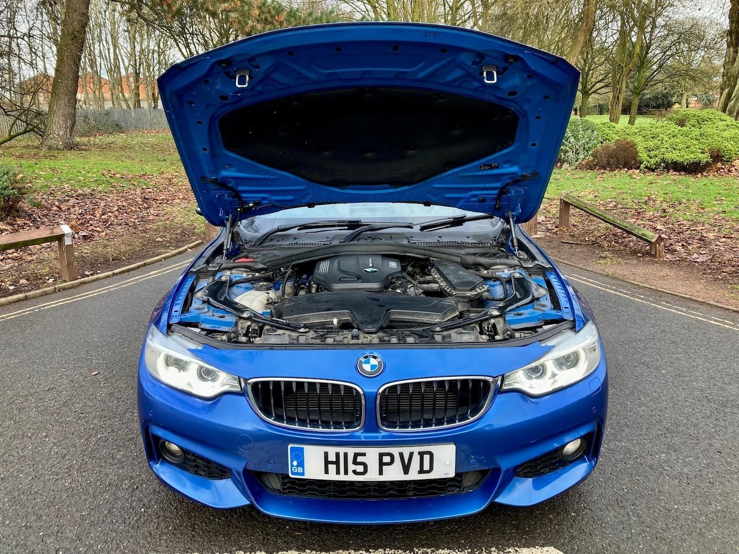 Used BMW 4 Series 2015 for sale - 77934446: Photo 18