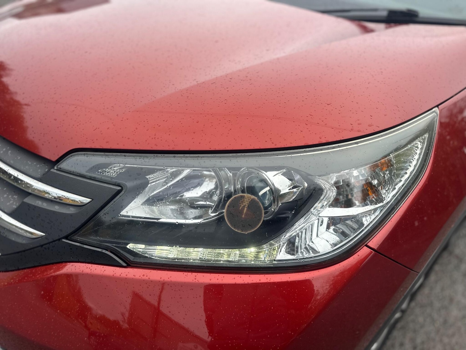 Used Honda CR-V 2014 for sale - 76361208: Photo 11