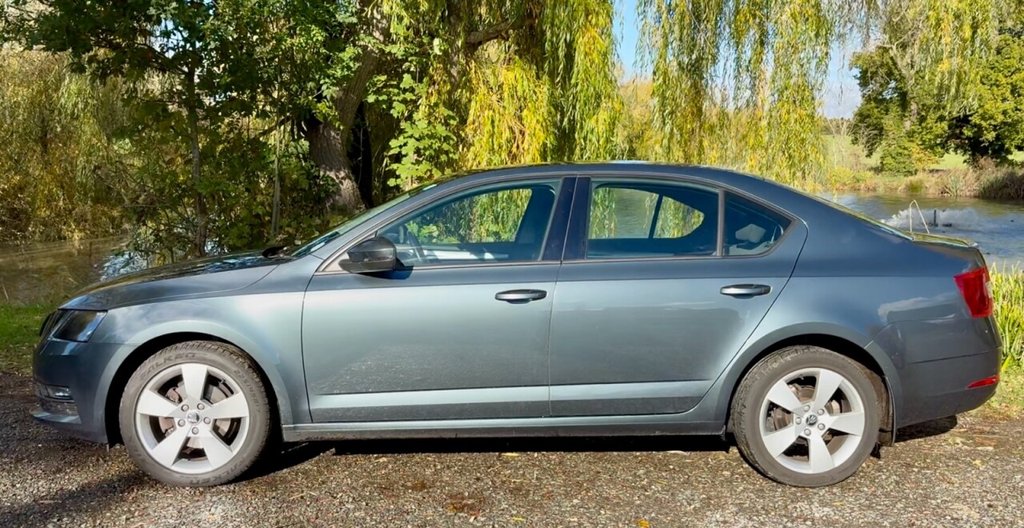 Used Skoda Octavia 2019 for sale - 76406690: Photo 50