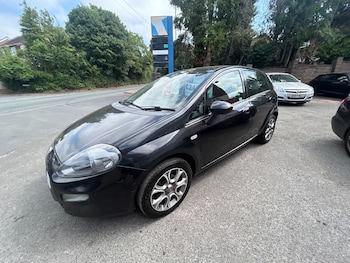 Used Fiat Punto 2016 for sale - 79165454: Photo