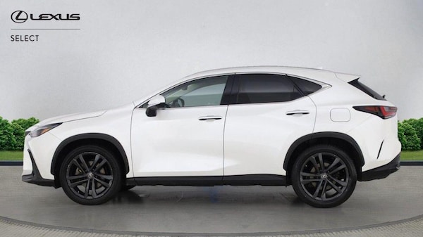 Used Lexus NX 2022 for sale - 76261178: Photo 6