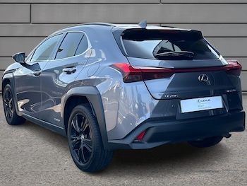 Used Lexus UX 2021 for sale - 75614864: Photo