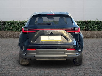 Used Lexus NX 2023 for sale - 76800758: Photo