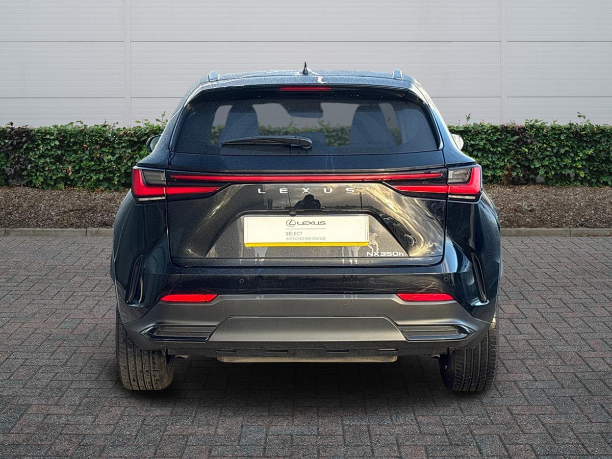 Used Lexus NX 2023 for sale - 77659952: Photo 4