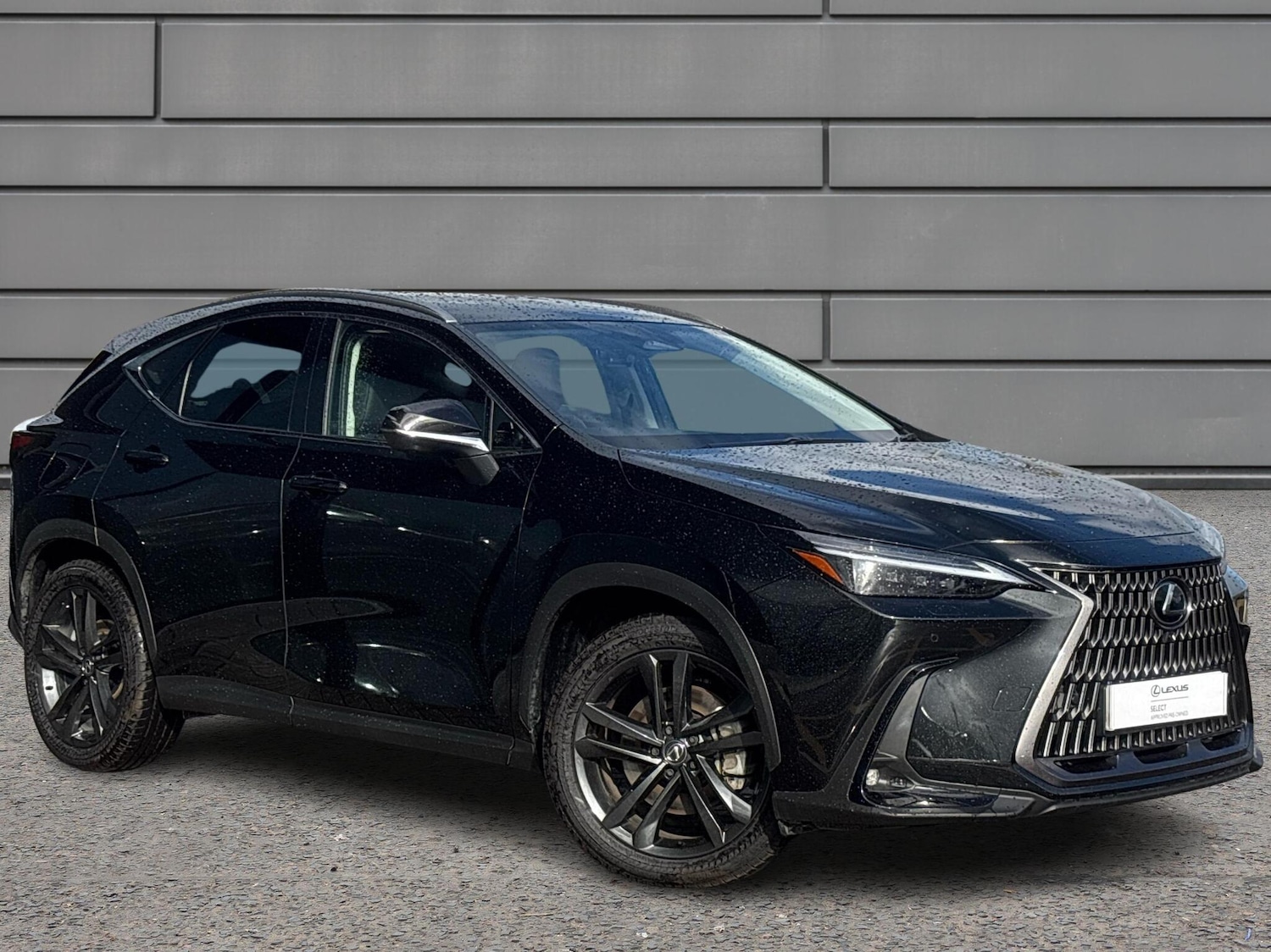 Used Lexus NX 2024 for sale - 76716821: Photo 1