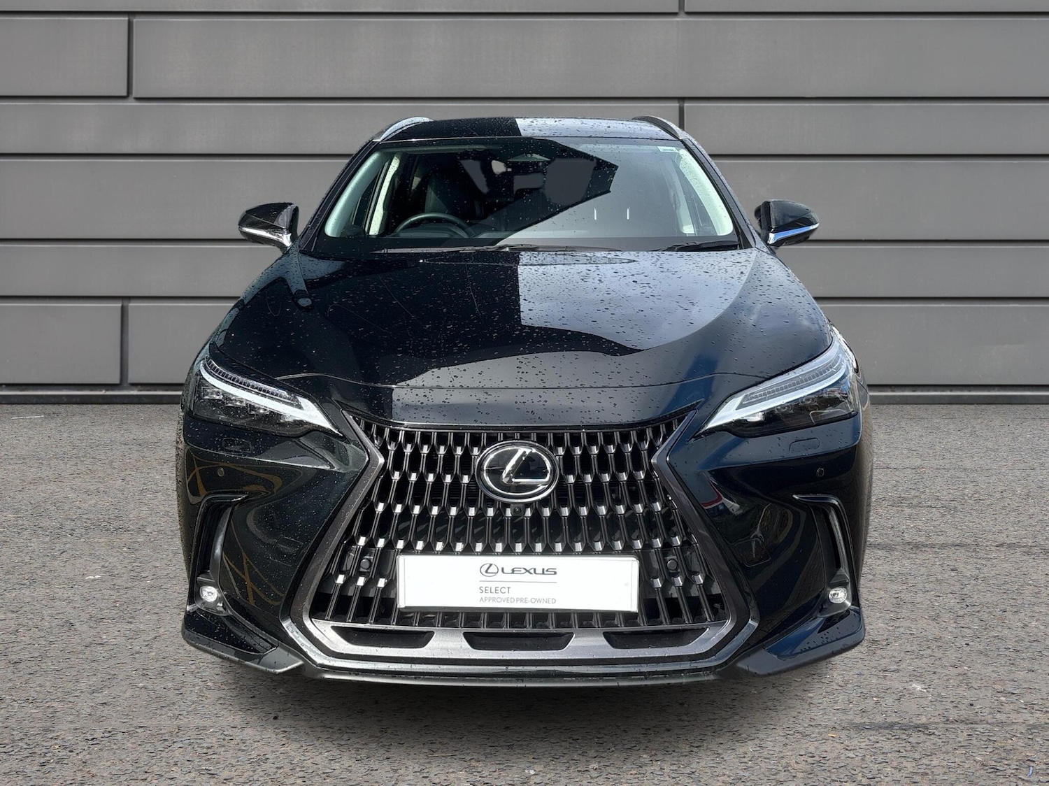 Used Lexus NX 2024 for sale - 76716821: Photo 7