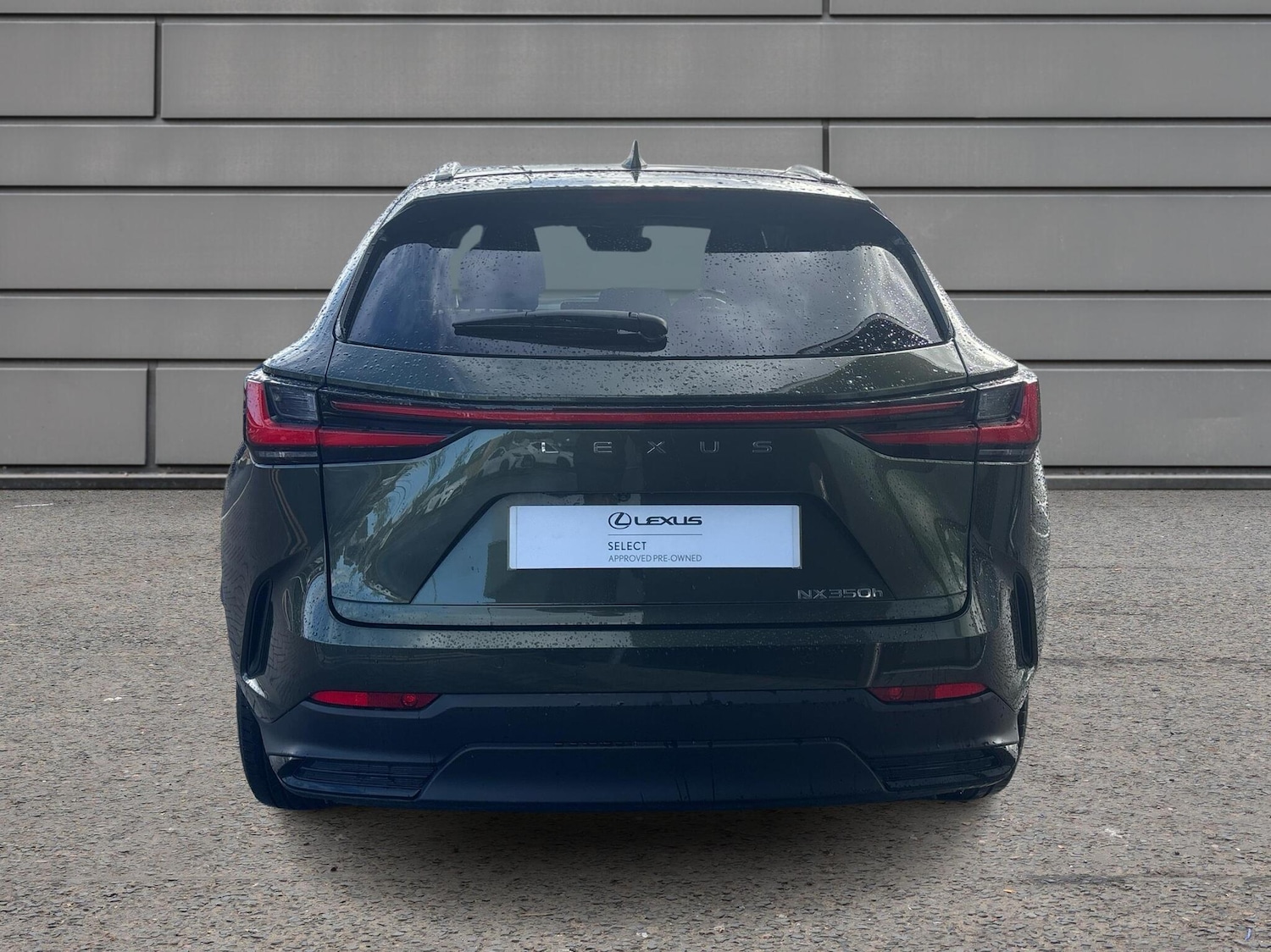 Used Lexus NX 2024 for sale - 76168363: Photo 10