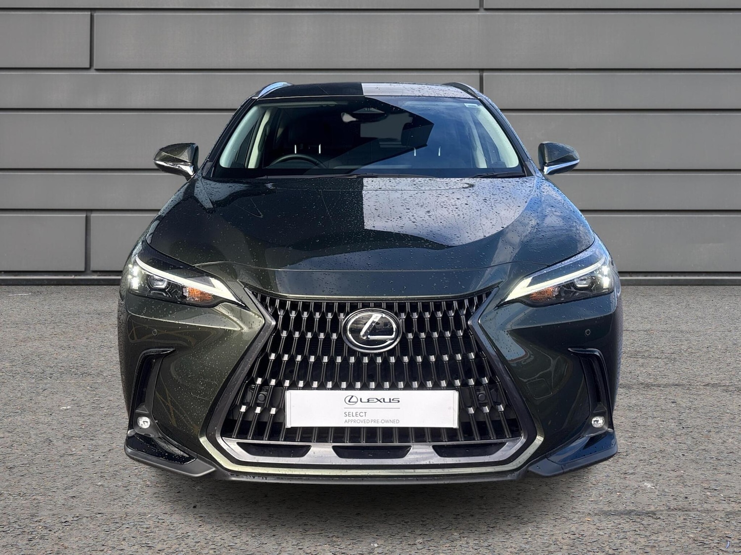Used Lexus NX 2024 for sale - 76168363: Photo 7