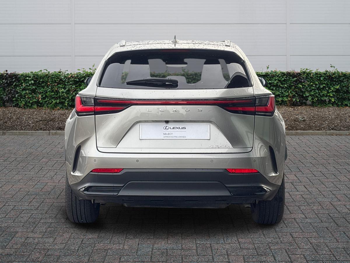 Used Lexus NX 2023 for sale - 77177531: Photo 4