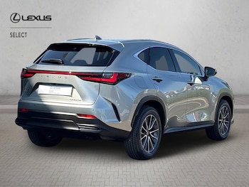 Used Lexus NX 2026 for sale - 79338671: Photo