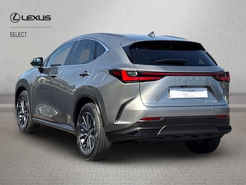 Used Lexus NX 2026 for sale - 79338671: Photo