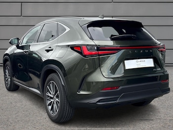 Used Lexus NX 2025 for sale - 75479174: Photo
