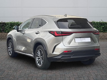 Used Lexus NX 2023 for sale - 77052399: Photo
