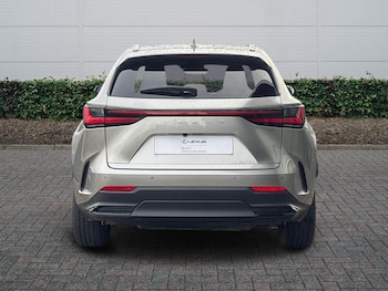 Used Lexus NX 2023 for sale - 77052399: Photo