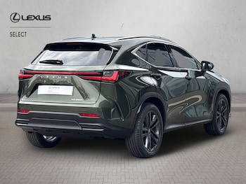 Used Lexus NX 2026 for sale - 79413827: Photo