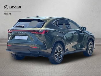Used Lexus NX 2026 for sale - 79094666: Photo