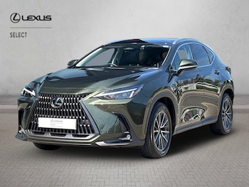Used Lexus NX 2026 for sale - 79094666: Photo