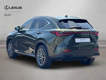 Used Lexus NX 2026 for sale - 79094666: Photo