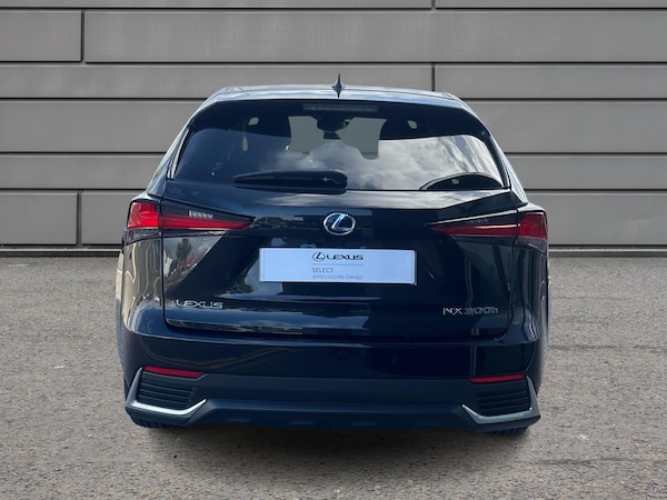 Used Lexus NX 2020 for sale - 76271504: Photo 10