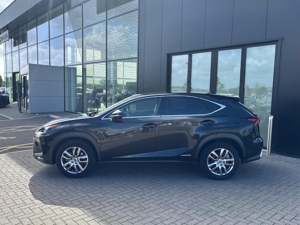 Used Lexus NX 2020 for sale - 76271504: Photo 4