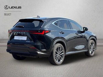 Used Lexus NX 2025 for sale - 78277378: Photo