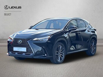 Used Lexus NX 2025 for sale - 78277378: Photo