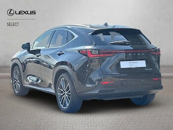 Used Lexus NX 2025 for sale - 78277378: Photo