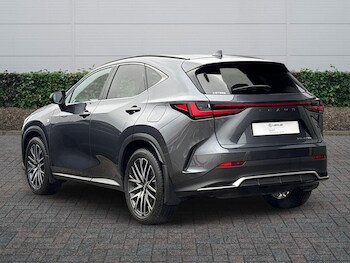 Used Lexus NX 2024 for sale - 77770768: Photo