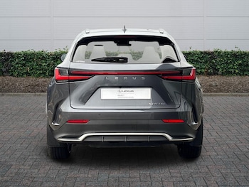 Used Lexus NX 2024 for sale - 77770768: Photo