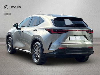 Used Lexus NX 2026 for sale - 79413847: Photo