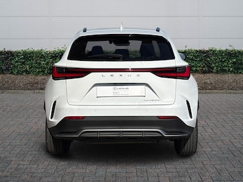 Used Lexus NX 2025 for sale - 79554671: Photo