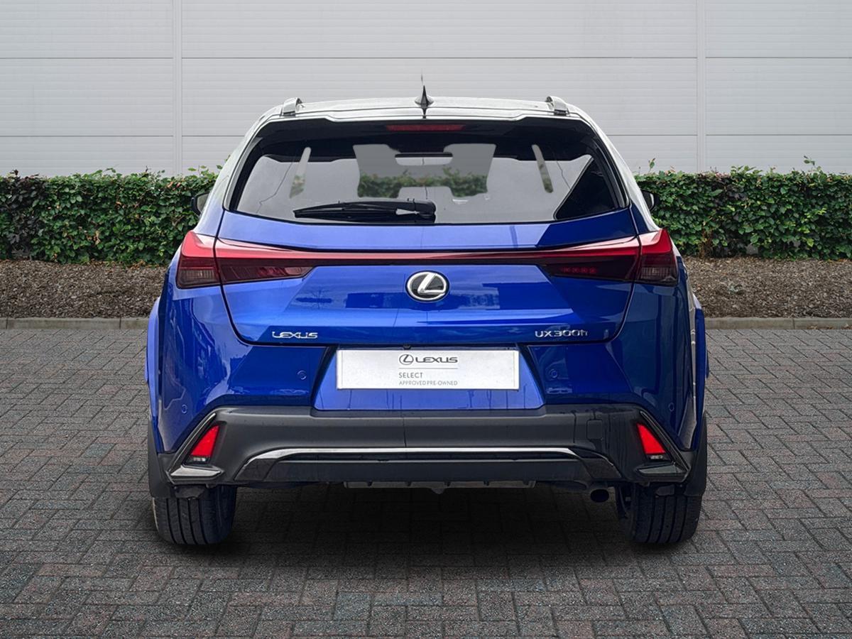 Used Lexus UX 2025 for sale - 77401172: Photo 4