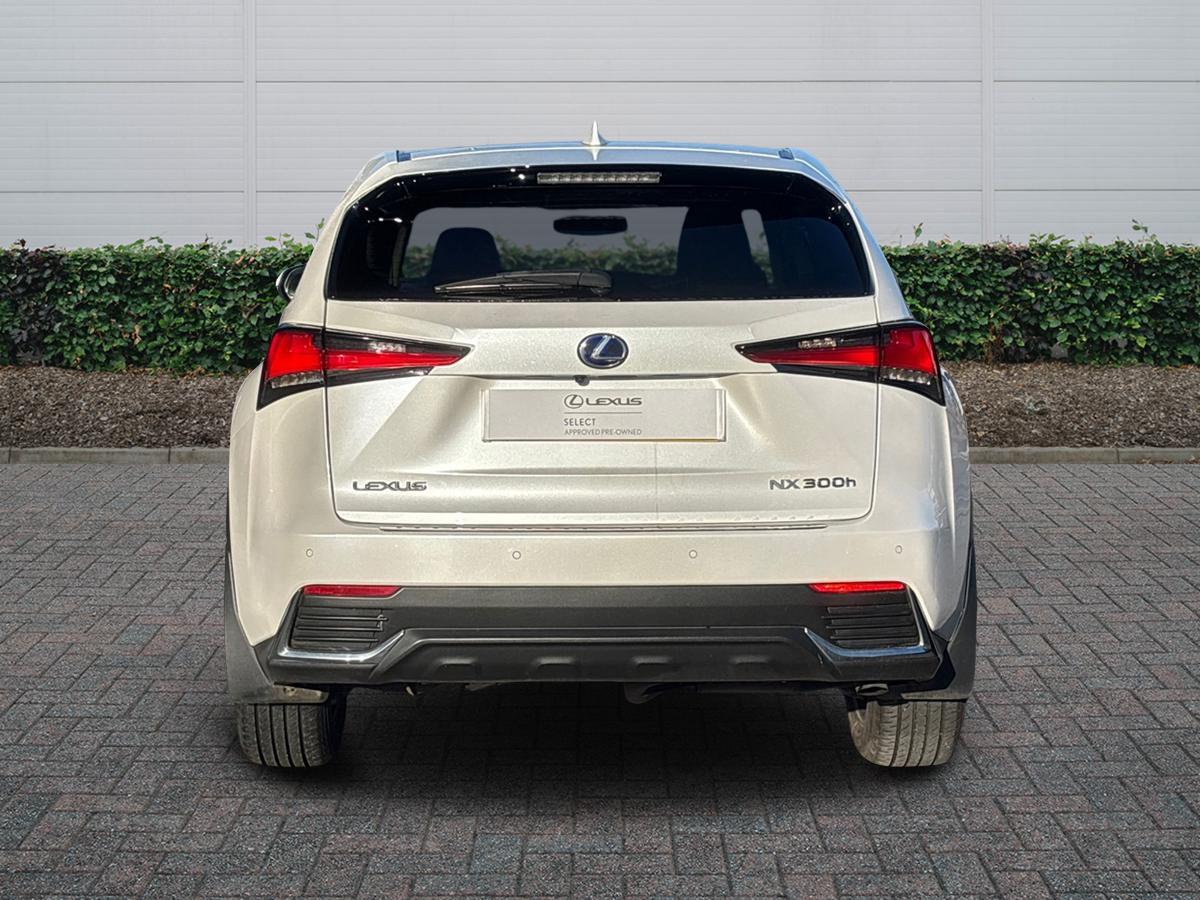 Used Lexus NX 2019 for sale - 77176945: Photo 4