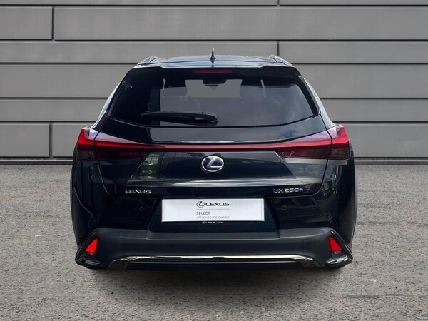 Used Lexus UX 2020 for sale - 76248474: Photo 10