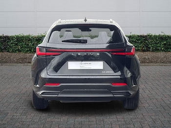 Used Lexus NX 2024 for sale - 77244510: Photo