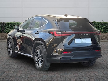 Used Lexus NX 2024 for sale - 77176589: Photo