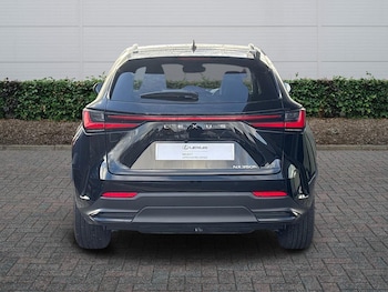 Used Lexus NX 2024 for sale - 76523245: Photo