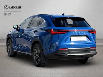 Used Lexus NX 2024 for sale - 79782003: Photo