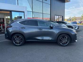 Used Lexus NX 2023 for sale - 74466488: Photo