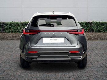 Used Lexus NX 2023 for sale - 77770692: Photo