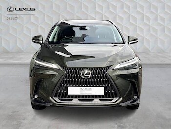 Used Lexus NX 2023 for sale - 78008517: Photo