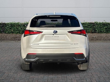 Used Lexus NX 2019 for sale - 77013437: Photo