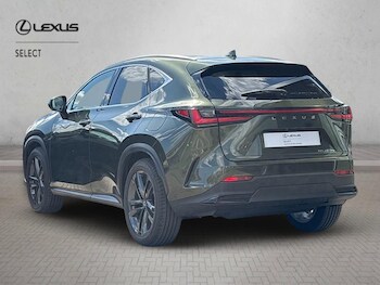 Used Lexus NX 2026 for sale - 78088186: Photo