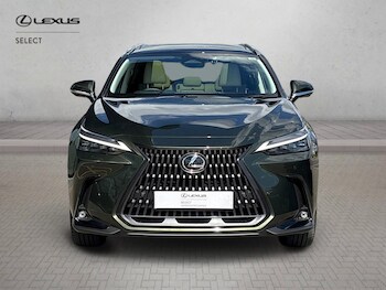 Used Lexus NX 2026 for sale - 78088186: Photo